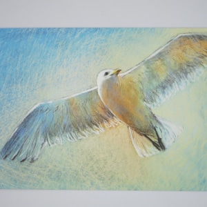 Freiheit - Postkarte für den Jahreszeitentisch -  Möwe - Waldorf - Sommer - Kinder - Art. SOPK358