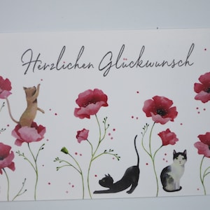 Congratulazioni - gatto - biglietto d'auguri - cartolina - biglietto d'auguri - articolo n. GRPK96