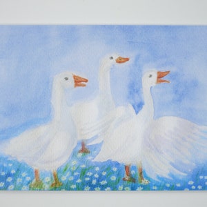 Trois cygnes - Carte postale - Table saisonnière - Waldorf - Cygne - Été - Article n° FRPK124