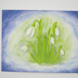 Perce-neige - table saisonnière - Waldorf - carte postale - hiver - premières fleurs - article n° FRPK38