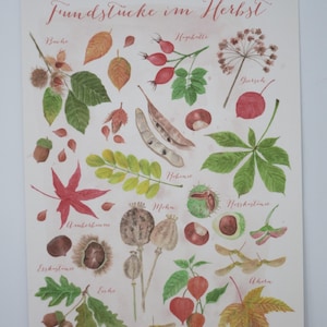 Reperti in autunno - cartolina grande - foglie autunnali - autunno - Waldorf - castagne - rosa canina - foglie colorate - articolo n