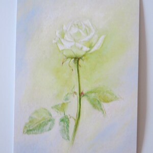 rose blanche - table de saison - carte postale - Waldorf - réf. BLPK28