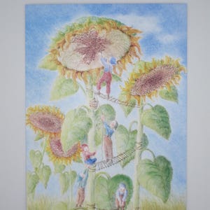Tempo di raccolta - Cartolina per la tavola stagionale - Girasole - Estate - Waldorf - Art. SOPK357
