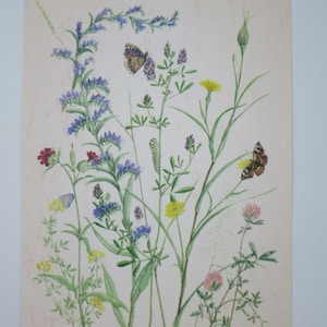 Au bord du chemin - Table de saison - Waldorf - Carte postale - Été - Fleurs - Art.