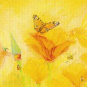 Gelber Schmetterling-Postkarte - Jahreszeitentisch - Frühling - Waldorf - Sommer - Blumen - Art.Nr FRPK11