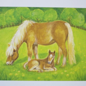 Stute und Fohlen - Jahreszeitentisch -  Waldorf - Postkarte - Pferde - Sommer - Bauernhof- Art.Nr FRPK208