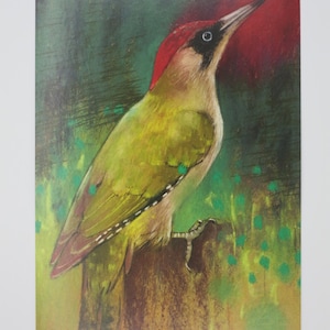Pic vert - Carte postale - Table saisonnière - Été - Waldorf - Oiseau - Art.