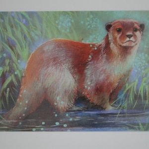 La Lontra - Cartolina per la tavola stagionale - Estate - Waldorf - Arte. SOPK380