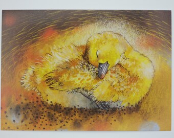 Schlafendes Küken - Jahreszeitentisch -  Waldorf - Postkarte - Bauernhof Tiere- Art.Nr FRPK195