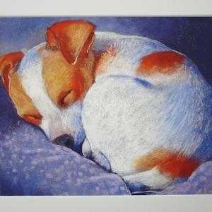 In un sonno profondo - tavola stagionale - cane - animale domestico - Waldorf - cartolina - articolo n