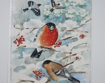 Wintervögel - Postkarte für den Jahreszeitentisch - Winter - Waldorf- Winter- Art. Nr. WIPK41
