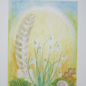 Schneeglöckchen mit Feder - Jahreszeitentisch - Postkarte - Winter - Schnee - Winterblumen - Waldorf- Art. Nr. WIPK358