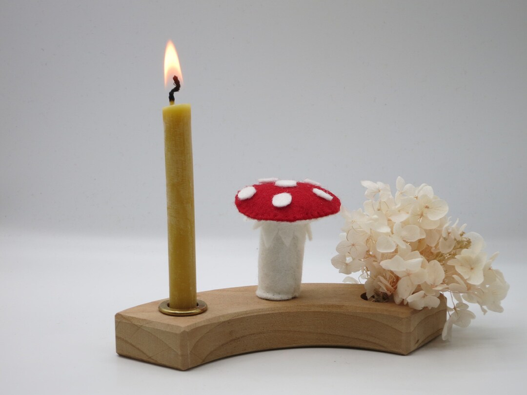 Fly Agaric Seasonal Table Birthday Ring Plug Etsy