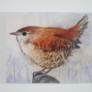 Wren - Cartolina per la tavola stagionale - Uccello - Waldorf - Art.No. FRPK247