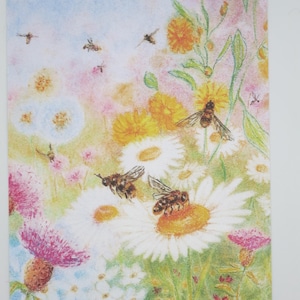 Bee Pasture - Tavolo stagionale - Waldorf - Cartolina - Estate - Articolo n. SOPK362