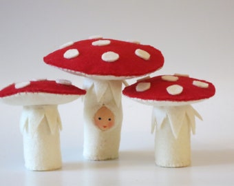 Mushroom Group-Fly Agaric- Flower Child - Waldorf