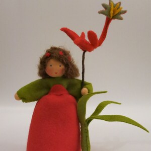 Kangaroo Paw - Kangaroo Flower - Flower Children - Waldorf - Art. SO50