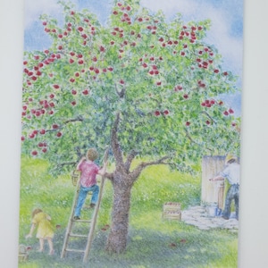La récolte des pommes - tableau de saison - carte postale - Waldorf - automne - pommier - article n°HEPK258