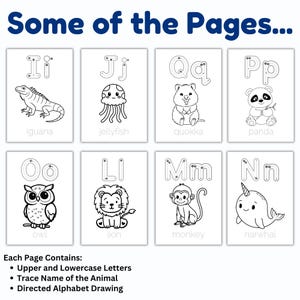 May include: A collection of eight white flashcards with black line drawings of animals and corresponding uppercase and lowercase letters. The cards feature an iguana, jellyfish, quokka, panda, owl, lion, monkey, and narwhal. Text at the top reads "Some of the Pages..."