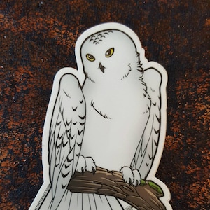 Snowy Owl Sticker