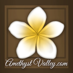 VIRTUAL TIP JAR (Tips Only)