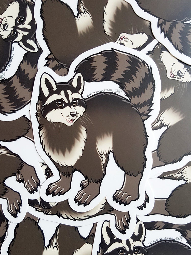Raccoon Sticker - Etsy