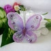 see more listings in the 1.5" to 2" Butterfly section