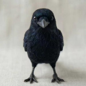 Puede incluir: Una figura de cuervo negro hecha con lana fieltrada con una apariencia texturizada y difusa, que presenta pequeños ojos oscuros, un pico puntiagudo y patas delgadas articuladas. El ave está de pie mirando al frente, mostrando su plumaje denso.