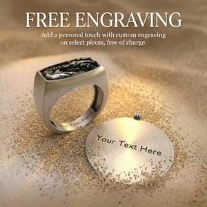 Angel Wing Ring 925 Sterling Silver 14K Gold Vermeil Feather Statement Band Spiritual Jewelry Gift image 9
