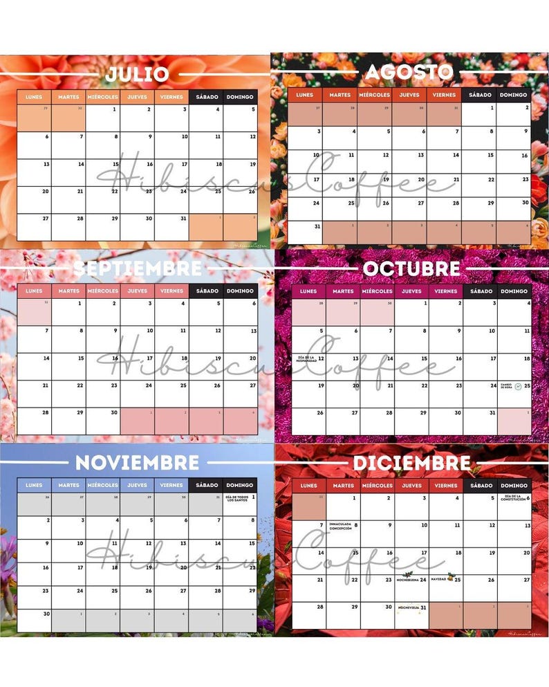 Calendário Floral 2026 Editável no Canva | Design Colorido e Estético ...