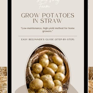 Cultivar patatas fácilmente en paja (ebook) / Guía para principiantes de huertos familiares / Descarga digital