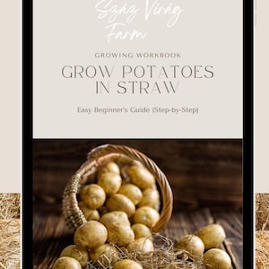 Puede incluir: Una tableta digital muestra un cuaderno de trabajo titulado "Cultivar patatas en paja" de Száz Virág Farm. La imagen muestra una cesta de patatas sobre una superficie de madera. Es una guía para principiantes.
