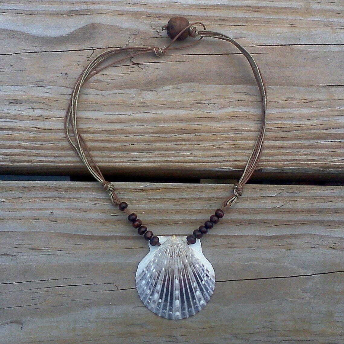 Brown Scallop Seashell Necklace on brown cotton string Etsy