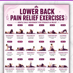 May include: A digital chart titled LOWER BACK PAIN RELIEF EXERCISES featuring 24 numbered daily illustrations of a person in purple clothing performing various stretches and movements on a mat, with instructional text for each exercise.