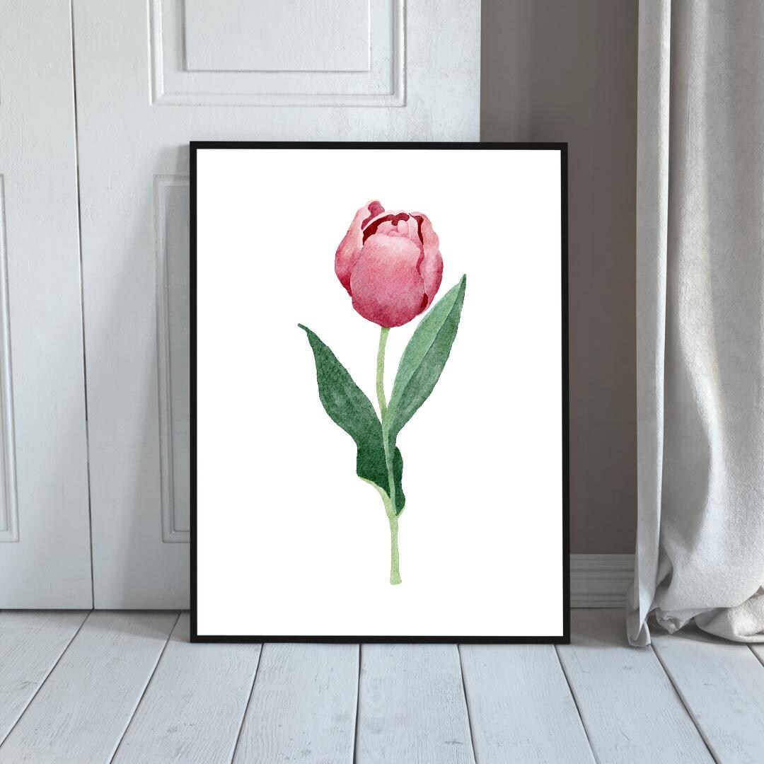 Watercolor Pink Tulip Rolled Poster | Floral Wall Art, Botanical Print ...