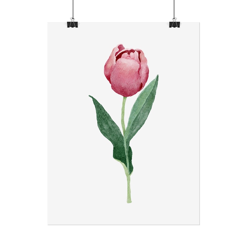Watercolor Pink Tulip Rolled Poster | Floral Wall Art, Botanical Print ...