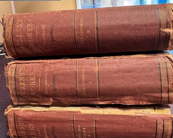 Antique Charles Dickens Book Collection Riverside Edition + Bleak House + Canterbury Classics 1800s–Early 1900s Decorative Set
