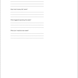 May include: A white paper titled "Weekly Check-In" with prompts for tracking spending habits. Questions include "How many no-spend days did I complete?" and "How much money did I save?" for financial planning.