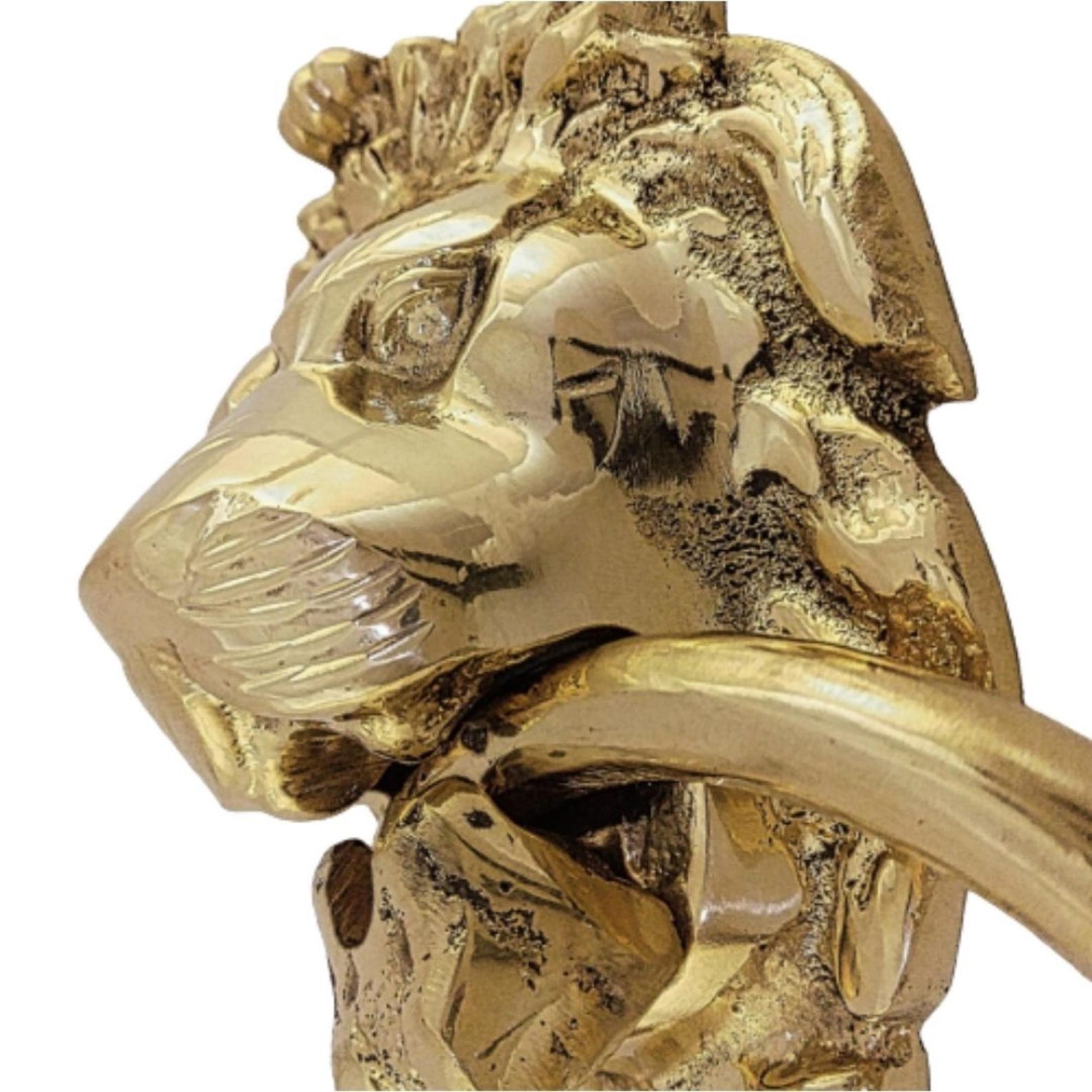 Lion Head Brass Door Knocker — Handmade Moroccan Hardware — view 11