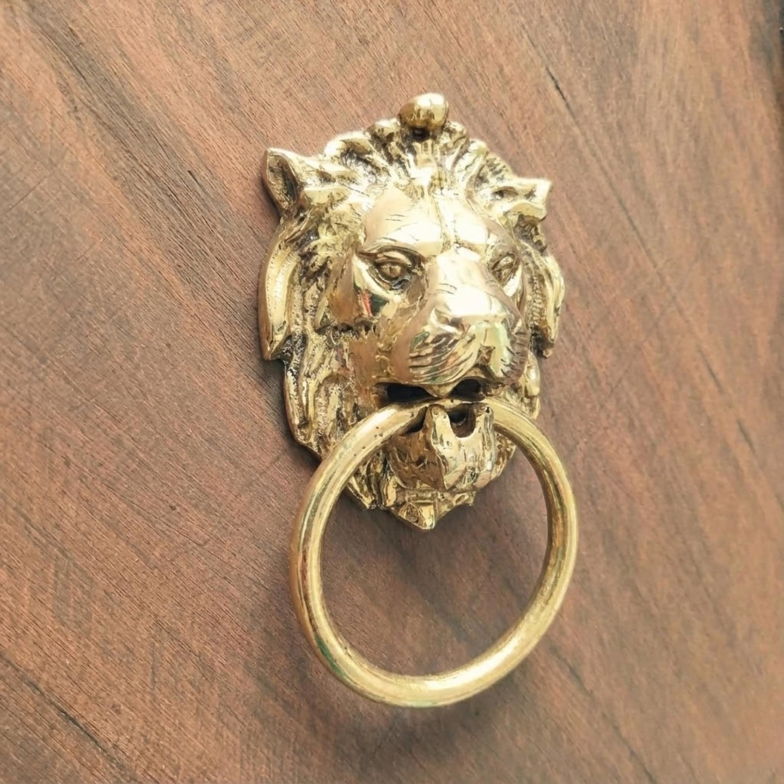 Lion Head Brass Door Knocker — Handmade Moroccan Hardware — view 6