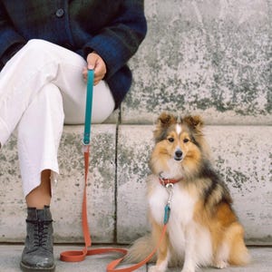 Può includere: Un guinzaglio per cani multicolore caratterizzato da un'impugnatura color verde acqua e una lunga cinghia color arancione terracotta. Il guinzaglio include finiture in metallo argentato, tra cui un moschettone girevole fissato a un collare.