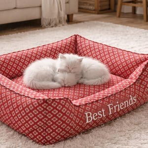 May include: A red and white patterned pet bed with the words "Best Friends" printed on the side. Two white cats are curled up asleep inside the bed, which is placed on a white shag rug.