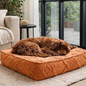 May include: A white ceramic mug with a black handle and the text "But First, Coffee" in a bold, black font. The mug is set against a neutral background, highlighting its simple design.