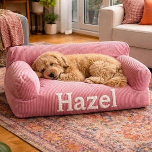 Puede incluir: Una cama para perros de pana rosa con el nombre "Hazel" bordado en blanco. Un perro marrón claro descansa sobre la cama. La cama está sobre una alfombra estampada en un salón.