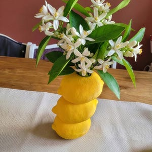 Puede incluir: Un arreglo floral único con tres limones amarillos brillantes apilados como jarrón. Flores blancas y hojas verdes brotan de la parte superior, creando una exhibición fresca y vibrante. El arreglo está sobre una mesa de madera.