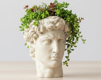 Greek Statue Head Succulent Vase, Classical Sculpture Planter, STL File