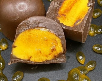 Dark Chocolate Passion Fruit Truffle