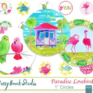 Paradise Lovebirds círculos de uma polegada/flamingo/tartaruga marinha/joias/arte de praia/tropical/cabochões/círculos de uma polegada para artesãos