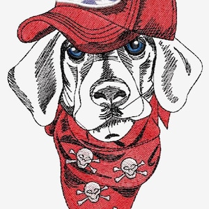 Könnte beinhalten: Gesticktes Bild eines Hundes, der eine rote Baseballkappe mit einem weiß-blauen Aufnäher und ein rotes Bandana mit Totenköpfen und gekreuzten Knochen trägt. Der Hund hat blaue Augen und eine schwarze Nase.
