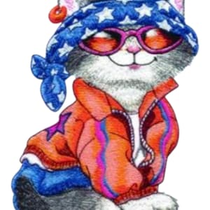 May include: A cartoon illustration of a cat wearing a blue bandana with white stars, pink sunglasses, and an orange jacket with a zipper. The cat is smiling and wearing a small orange donut on its ear.